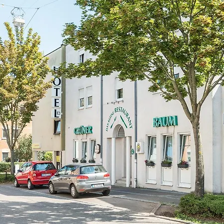 Gruner Baum Hotel 2*