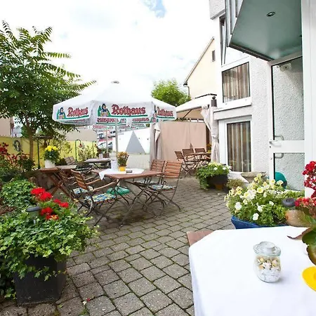 Gruner Baum Hotel 2*